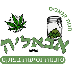 חנות קנאביס בפוקט